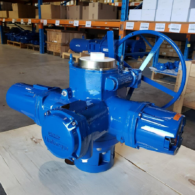 limitorque QX elektrische actuator voor kleppen werkt met Fisher EZ-klephuis