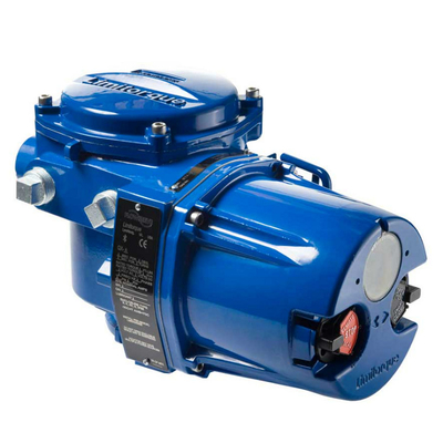limitorque QX elektrische actuator voor kleppen werkt met Fisher EZ-klephuis