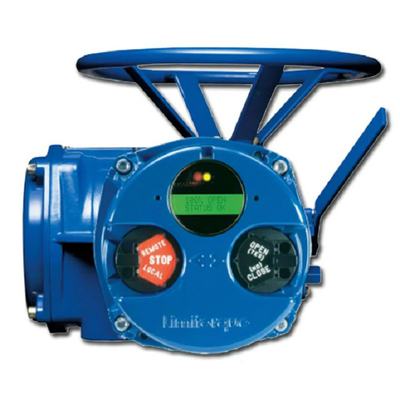 limitorque QX elektrische actuator voor kleppen werkt met Fisher EZ-klephuis