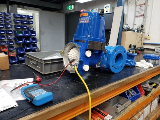 Limitorque MX - 100 MX - 85 MX - het Elektrische Actuator van QX Werk met Flowserve-Klep