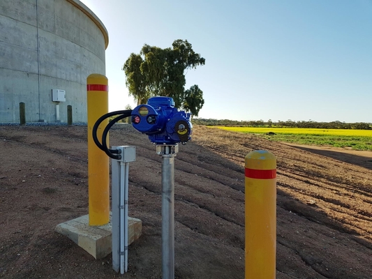 Limitorque MX - 100 MX - 85 MX - het Elektrische Actuator van QX Werk met Flowserve-Klep