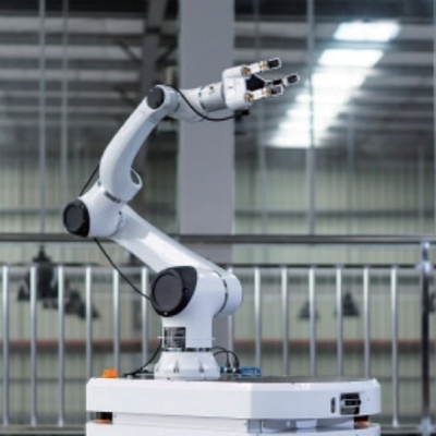 Chinese Cnc 6 het Wapen cngbs-G05 van de Asrobot voor het Palletiseren van Cobot-Robot