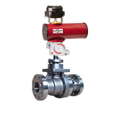 De Controleklep van KOSO 300W met Actuator van Rotork RC het Pneumatische Instelmechanisme van Flowserve 3200MD