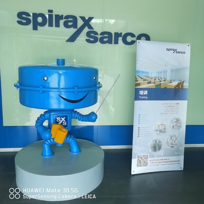 De Kleppen van de de Schijfcontrole van Spiraxsarco en Sanitaire Controleklep met Pompval