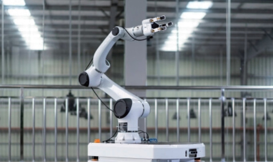 De Nuttige lading die van CNGBS 3kg Samenwerkingsrobotwapen met China Megmeet last