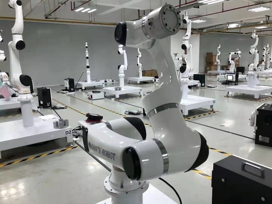 Flexibele Hansrobot 6 en Wapen die van de As het Samenwerkingsrobot Elfachtig met Onrobot-Tang plukken plaatsen