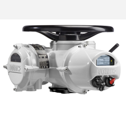 Elektrische Actuator van ROTORK IQ met de Chinese Wuzhong-Klep en Kogelkleppen van Flowserve