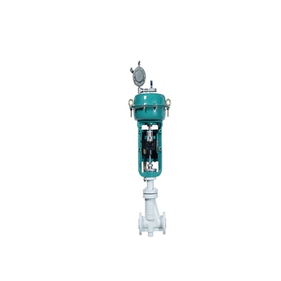 Datatransportbesturingklep met de regelgever van de Vissers67cfr filter en de Klepinstelmechanisme van Foxboro SRD998