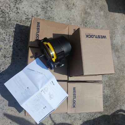 Schakelaar van de de Monitorsgrens van de Westlock Roterende Positie 3000 8300 3300 Reeksen met Vissersv150 Klep en DVC6200-Instelmechanisme