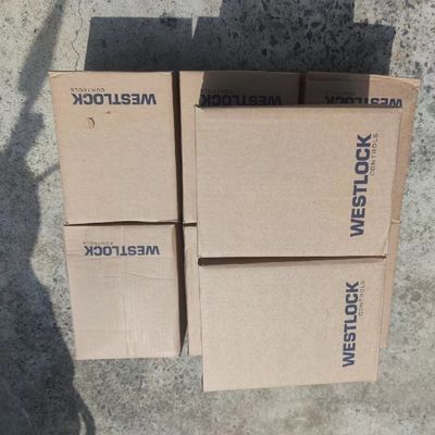 Schakelaar van de de Monitorsgrens van de Westlock Roterende Positie 3000 8300 3300 Reeksen met Vissersv150 Klep en DVC6200-Instelmechanisme