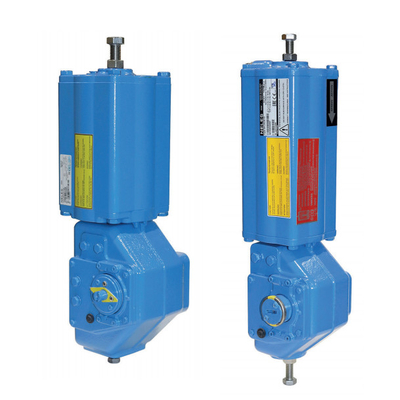 Vleugelklep met Actuator van Neles B1CU17/55L en de Klepinstelmechanisme van KOSO EPA800
