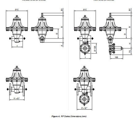 Tartarini RP-serie drukregulerend klep EMERSON met skid mount pakket