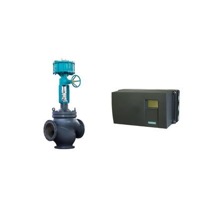 Digitale positioner- en modelnummer voor de positionerregulator van de klep