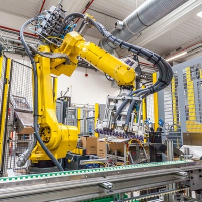 Pelletizing 6 Axis Robotarm met Industrial Robot Controller van M-20iA voor
