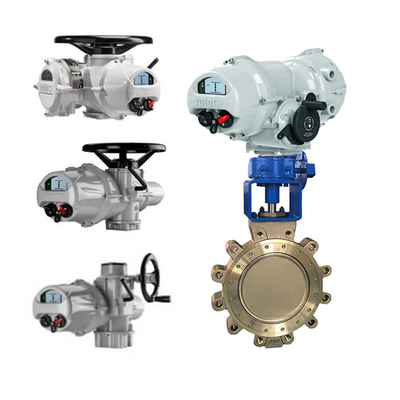 Chinese elektrische bedieningsklep actuator met ROTORK IQ2 IQ3