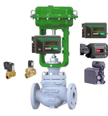 Pneumatische besturingsklep met Burkert-solenoïde klep en DVC6200 DVC2000 positioner voor algemene toepassingen