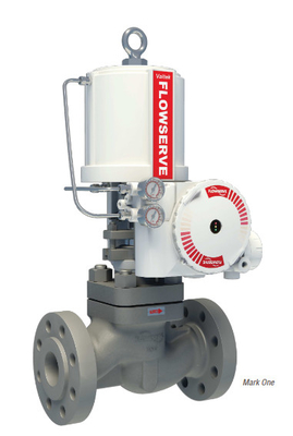 Drukverlagend &amp; Desuperheating Station Met Flowserve Valtek VR Actuator En 3200MD Valve Positioner