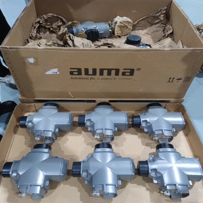 De stroomregelklep is uitgerust met de Auma-klepactuator SQEx en de SQRV-explosiebestendige elektrische actuator