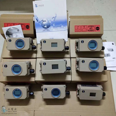 Samson Pneumatic Smart Positioner 3730-31001 met Vleugelklep en Asco-Solenoïdeklep