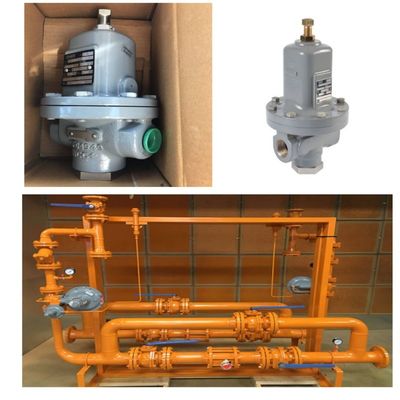 Valve Switching Skid uitgerust met veiligheidskleppen van de Fisher MR98/MR98L/MR98H-serie en -drukmeters