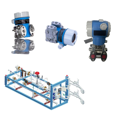 Chinese Skid- Mount Endress+Hauser Differentiële Druk Transmitter Deltabar PMD55