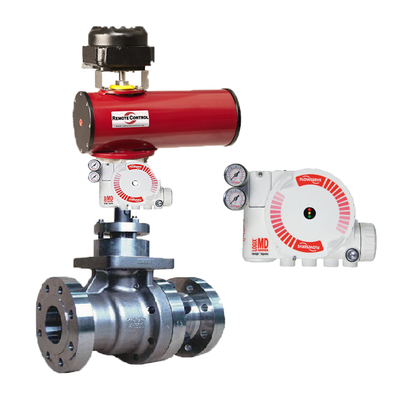 Flowser Positioner 510 520MD 3200MD Met Burkert Solenoïde Valves