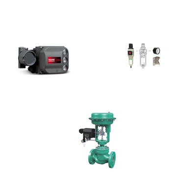 Pneumatische besturingsklep met FISHER DVC6200 Intelligente Digitale Positioner