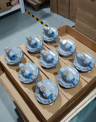 Masoneilan BR200 BR400 Booster Valve Positioner SVI2 SVI3 en Fisher 67CFR Filter Regulator