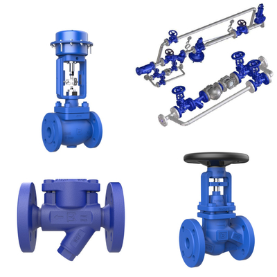 Stoomvangstation Warmteherstel Slide Op maat gemaakte evenwichtige druk Stoomvangstation Drukvermindering Valve Control Valve
