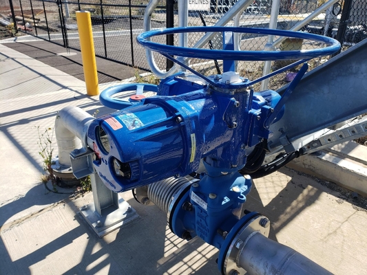 Flowserve Limitorque Elektrische Klepaandrijving MX QX Serie Aangepast China Multi-turn Kwartslag Industriële Klep Flow Control