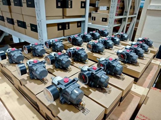 Fisher 67CFR drukregelaar legeringsstaal 450 psig 1/4 NPT