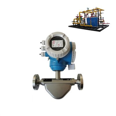 Vloeistoffen Gassen Meten Flowmeter E+H Proline Promass E 300 Endress Hauser Coriolis Mass Flowmeter