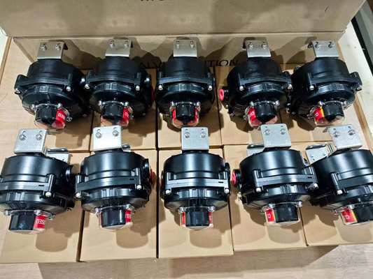 Chinese Valve Flowserve PMV EP5 EP5XX EP5FS EP5IS EP5EU EP5US Analoog Digitale Valve Positioners en SMC AW20 FILTER REGULATOR