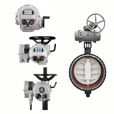 ROTORK Elektrische Aandrijving de IQ Serie IQ10 IQ20 IQ35 IQ40 IQ70 IQ90 IQ95 IQ12 IQ25 IQ18