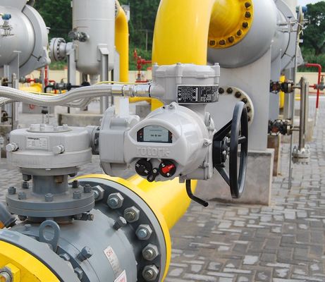 Rotork van roestvrij staal Elektrisch aangedreven kleppen Elektrisch aandrijvend kogelkleppen