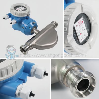 Slimme magnetische flowmeter E+H Proline Promag P 300 Endress Hauser HART 4-20mA industriële elektromagnetische flowmeter