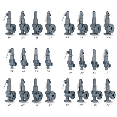 VYC Industriële klep AIT 485 486 494 495 496 596 696 Drukschuifklep Volop openende veiligheidsklep met compressieveer