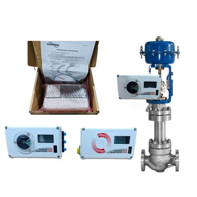 Nieuwe Flowserve Logix 520MD Digitale Positieregelaar 520MD+44-W2D100 520MD+44-W2D3FN EAC Certificering