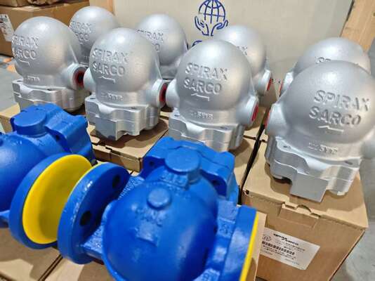 Nieuwe Flensaansluiting FT14X FT14 Schroefaansluiting FTGS14 SPIRAX SARCO Vlottercondenspot DN15 tot DN50 PN16 op Skid-gemonteerde apparatuur