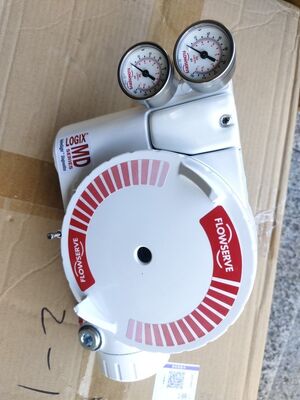 Chinese Control Ball Valve with Flowserve Positoner Logix 3800 PMV D3 PMV P5/EP5 F5 520MD 3200MD 420 and YT-325 Booster in Stock