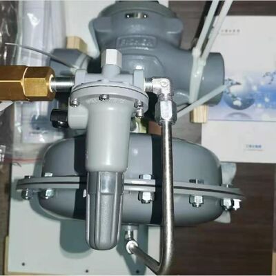 Fisher 1098-EGR Piloot-bediende aardgasprijsreduceerventiel met hoge nauwkeurigheid voor industrieel gebruik