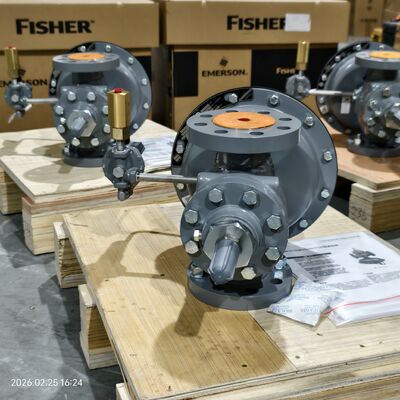 Fisher Regulator 1190 Low Pressure Gas Blanketing Valve Pilot-aangedreven drukreduceerventiel voor skid-montage