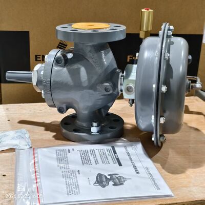 EMERSON Fisher Types 1098-EGR en 1098H-EGR Pilot-operated Gas Pressure Reducing Valve met voorraad voor High Performance Boiler