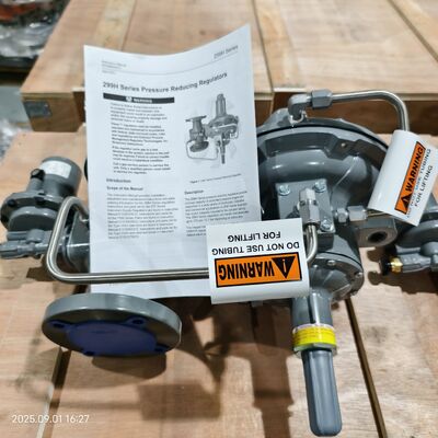 De Reeksnpt van de aluminiumdn 50 VISSER 299H Druk die Regelgever verminderen
