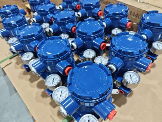 Het slimme Pneumatische Instelmechanisme AVP300 van de Controleklep met Fisher Valve