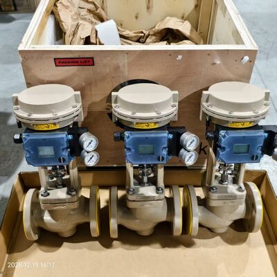 Brand New Original Duitsland Samson 3241 Control Valve 3725 Valve Positioner 3277 Pneumatische actuator