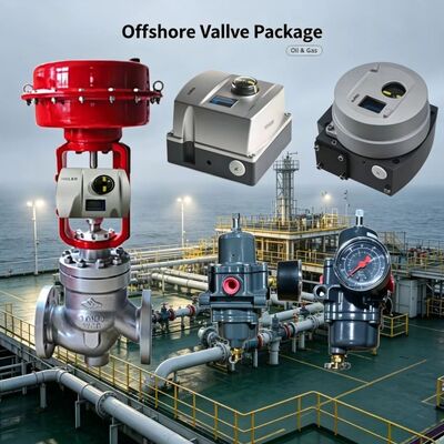 Valmet Me-sto Neles ND9000 regelkleppositie-indicator met Fisher 67CFR filter drukreduceerventiel