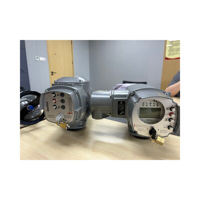 AUMA SA Series Complete Valve System with Electric Actuator IP68 for Globe Valves