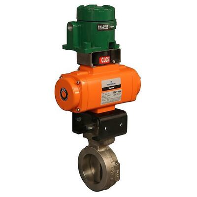 Fisher FIELDVUE 4400 Digitale Positie Zender Zender 4-20 mA Terugkoppeling met Klep
