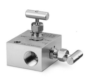 6000psi doctorandus in de letterenmb de Klep van de Naaldcontrole, de Verzamelleiding van het Hoge drukinstrument voor CHNV